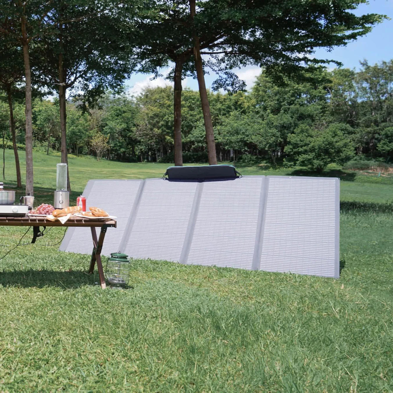 EcoFlow 400W Portable Solar Panel